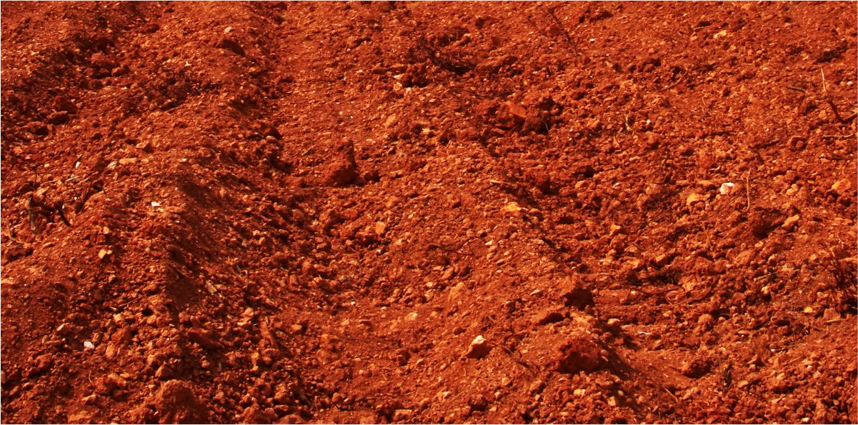 Movimentação de terra com Mini Carregadeira